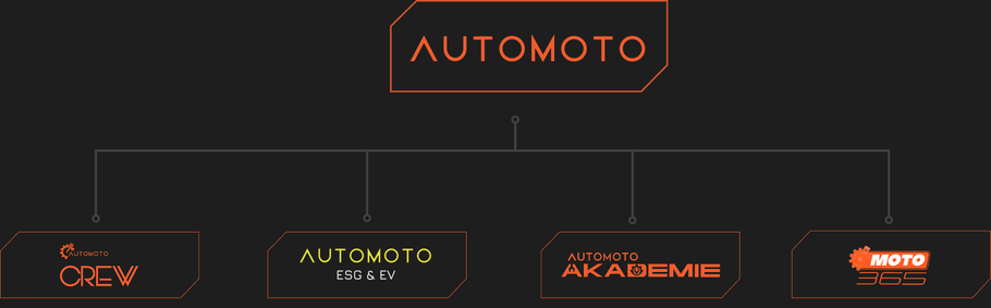 automoto-organization-structure-tinified